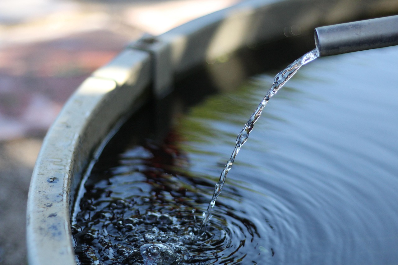 The Inflammation Bucket: Understanding What’s Overflowing Yours